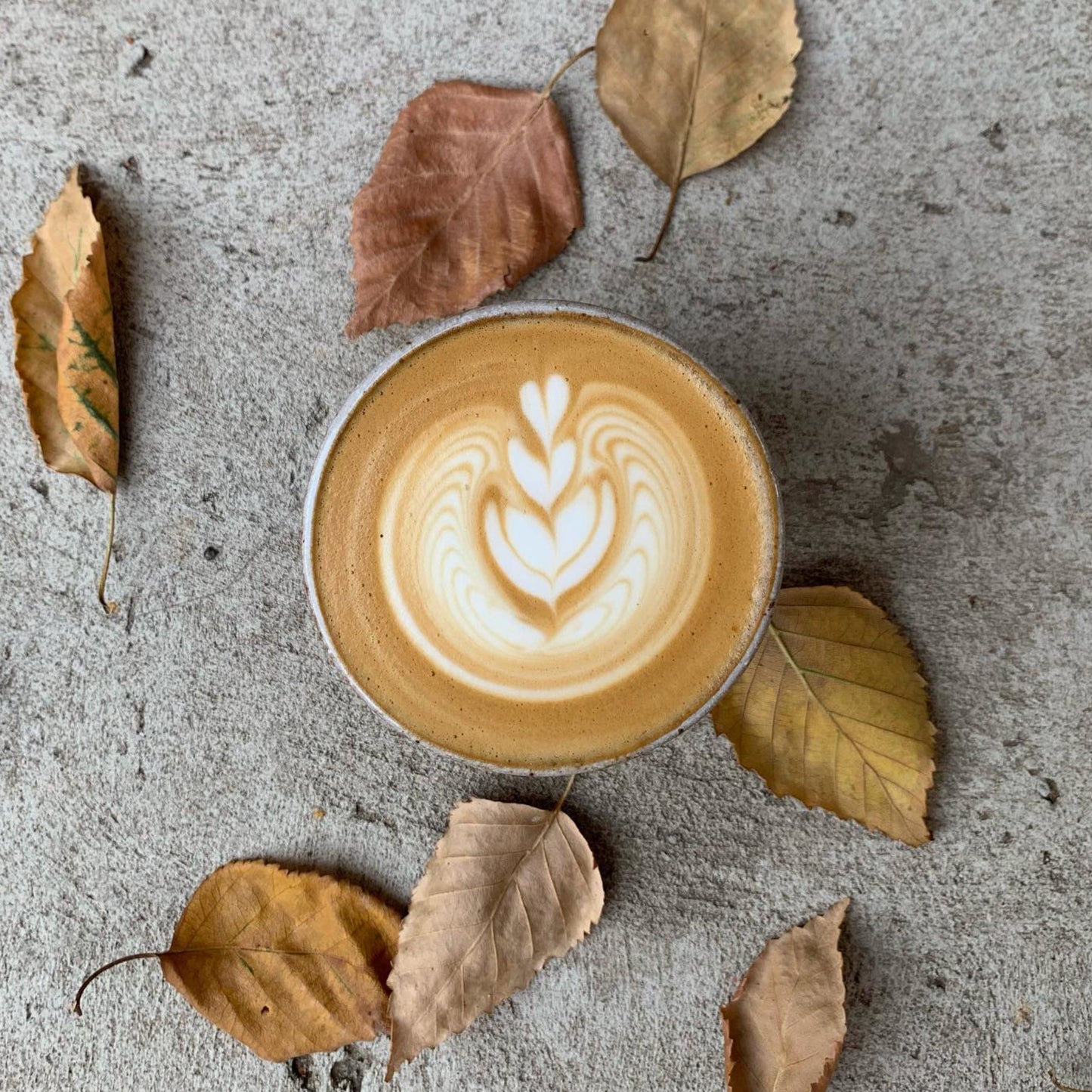 Flat White Cup & Saucer - Oat & White