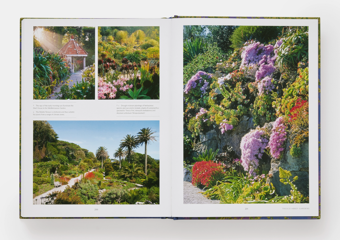 English Gardeners Garden