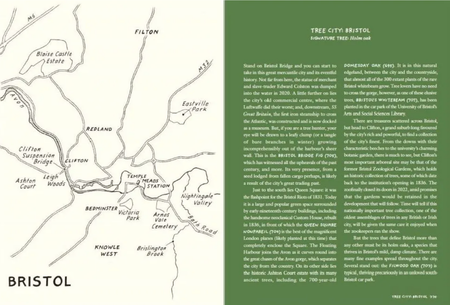 Tree Hunting: 1,000 Trees to Find in Britain and Ireland’s Towns and Cities (signed)