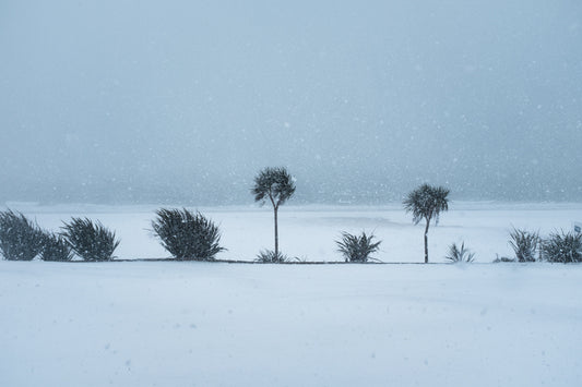 St Ives in the Snow