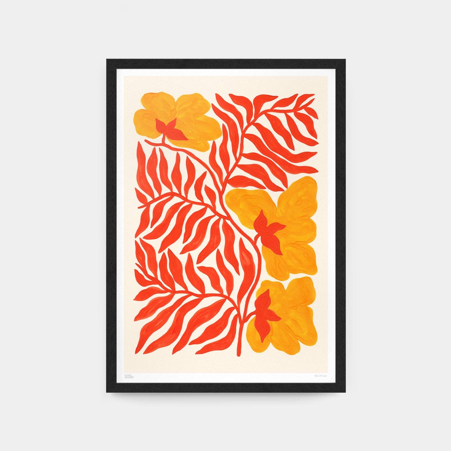 A4 Print - Australian Flora No.2