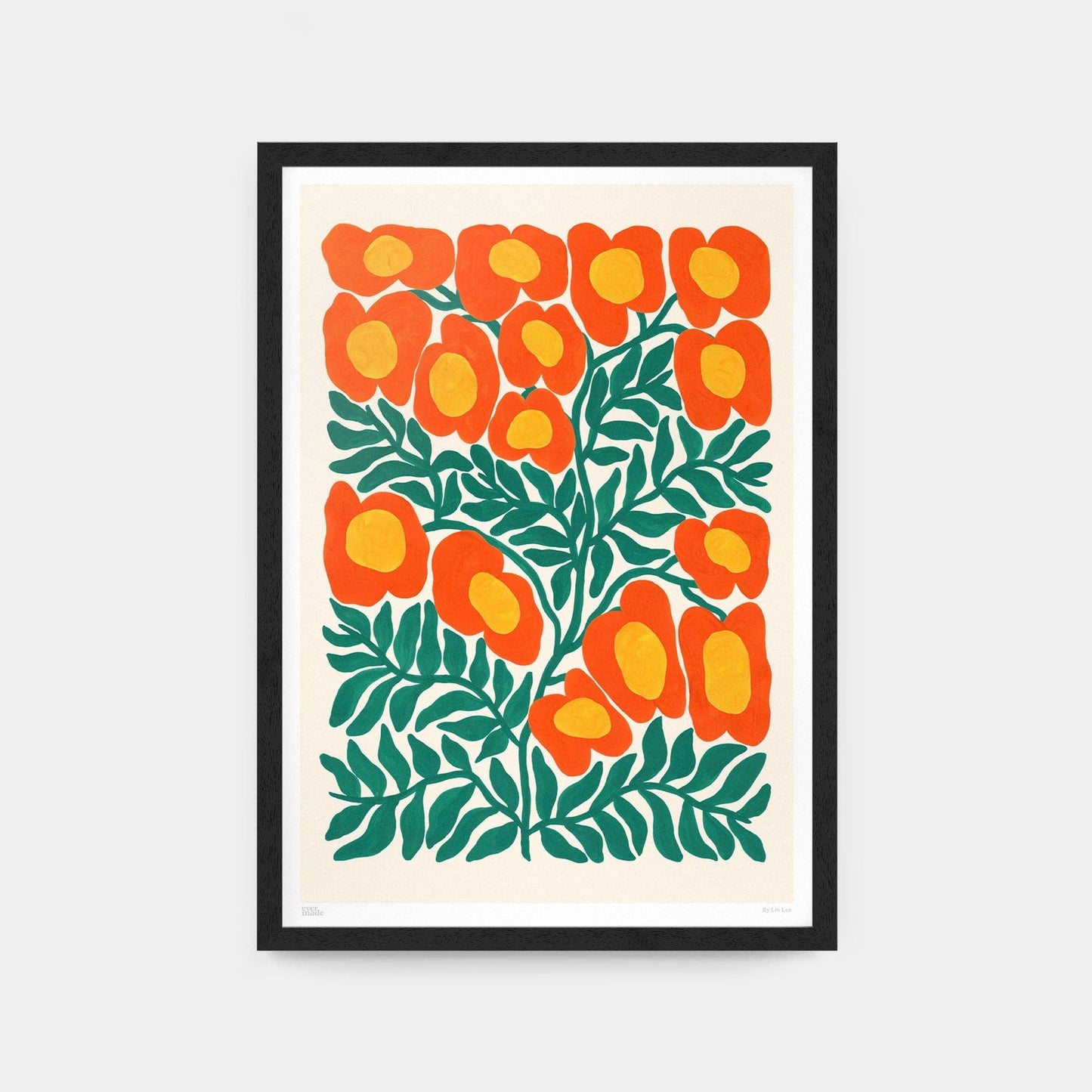 A4 Print - Australian Flora no.1