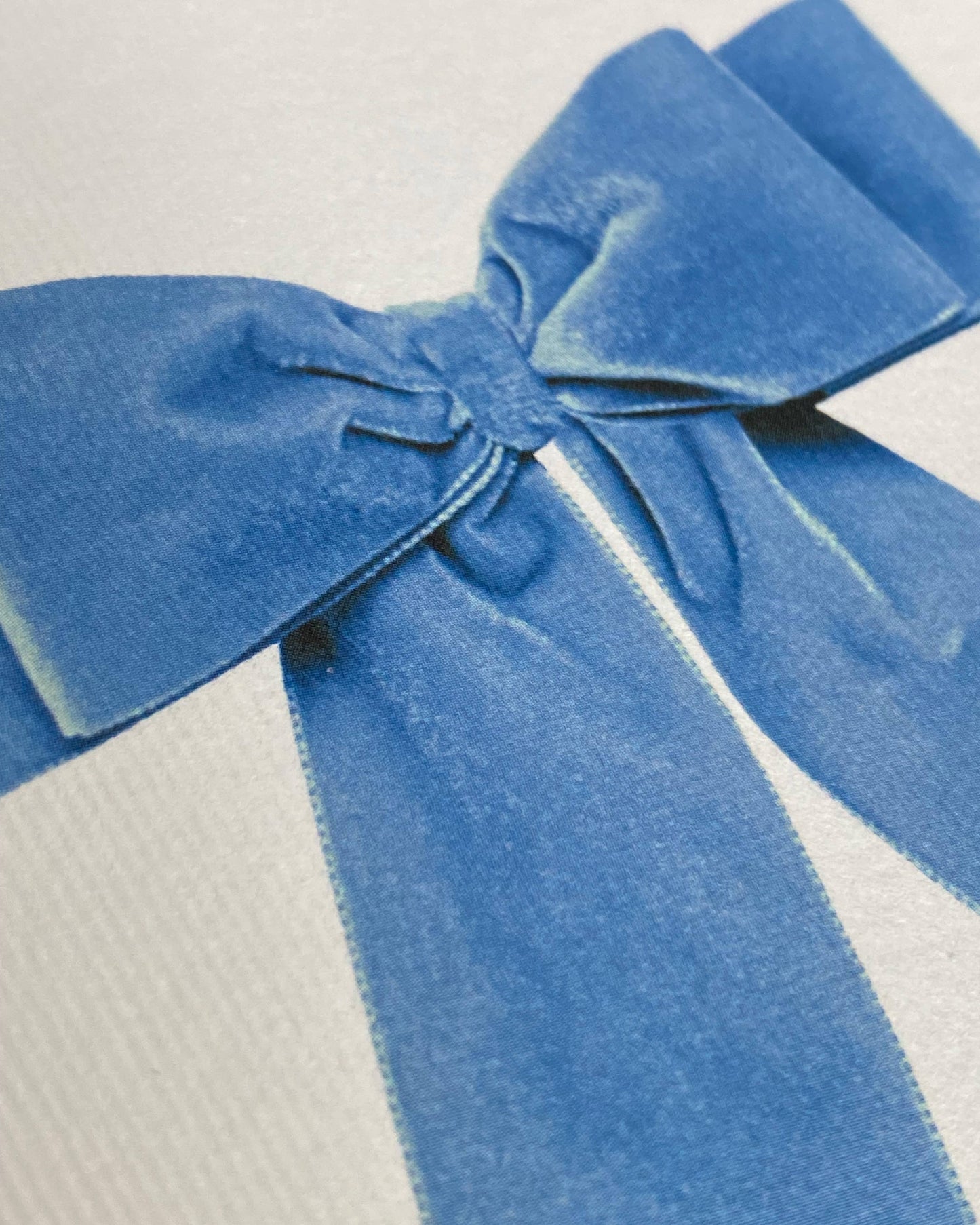 Greeting Card - Baby Blue Velvet Bow