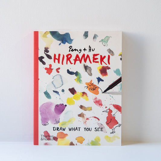 Hirameki: Draw what you see