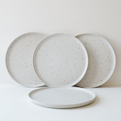 Everyday Dinner Plates Matte White & Speckle - Set of 4 SECONDS