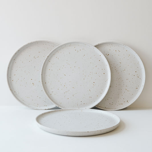 Everyday Dinner Plates Matte White & Speckle - Set of 4 SECONDS