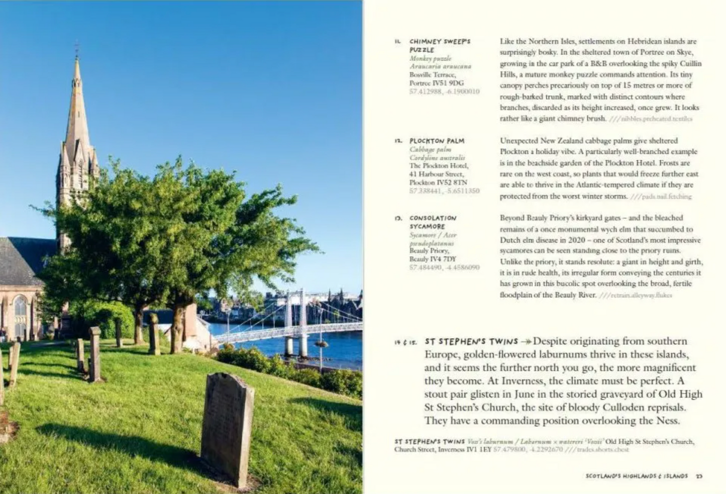 Tree Hunting: 1,000 Trees to Find in Britain and Ireland’s Towns and Cities (signed)