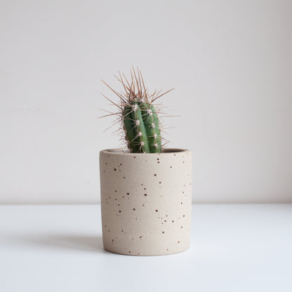 Small Planter - Speckled, Planter - DOR & TAN | Contemporary Handmade Tableware
