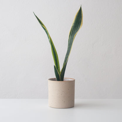 Small Planter - Speckled